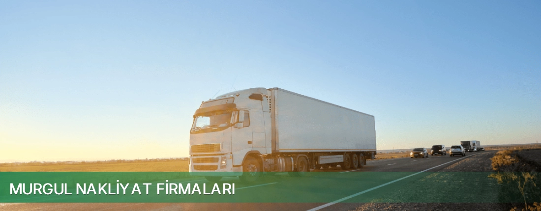 Murgul Nakliyat Taşımacılık